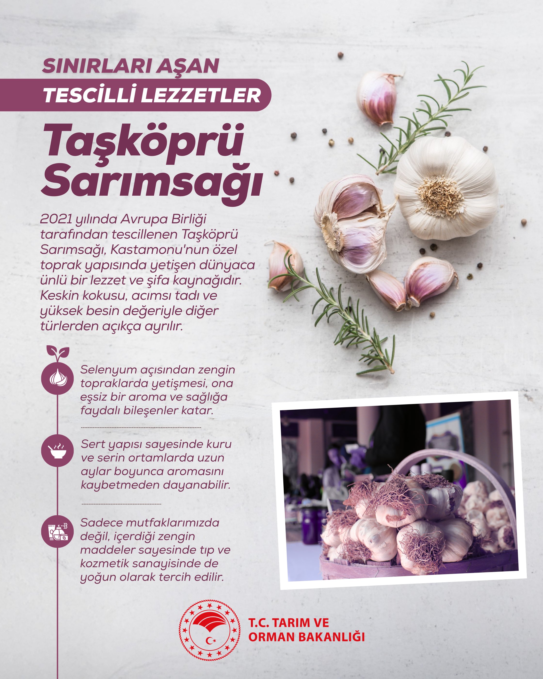Kastamonu Taşköprü Sarımsağı, Avrupa'da Tescillendi