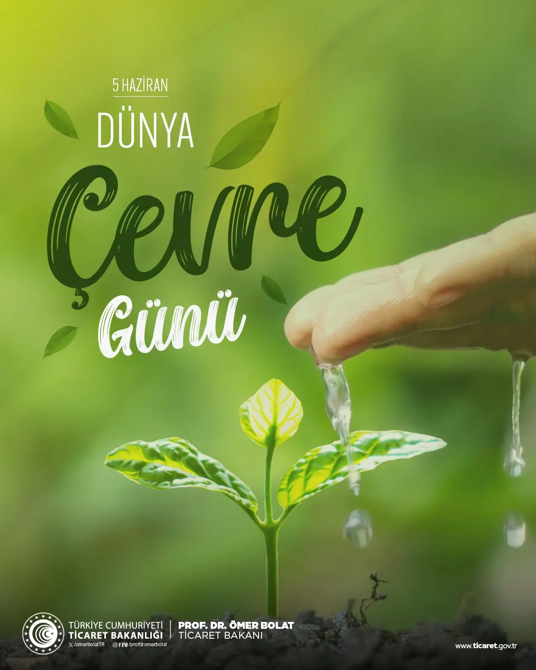 Türkiye'nin Yeşil Dönüşüm Hedefleri ve Projeleri