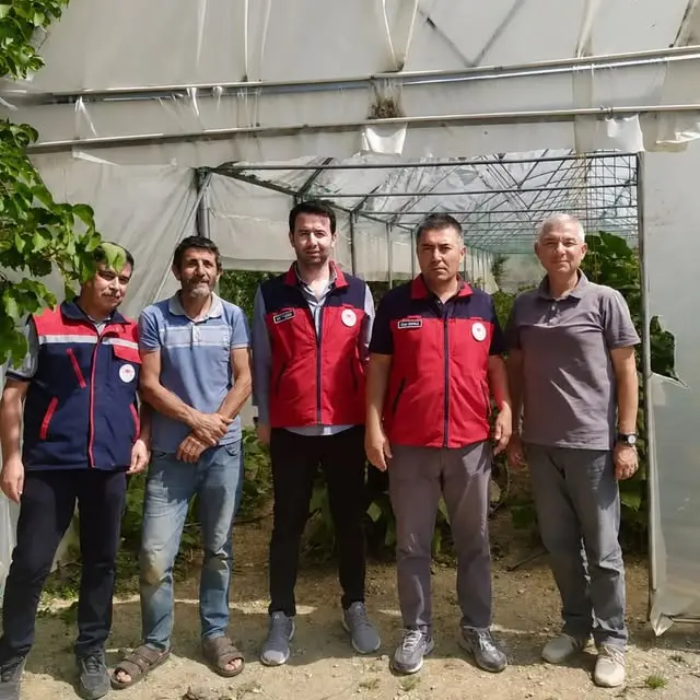 Sebze üretim alanlarında hastalık kontrolleri sürüyor
