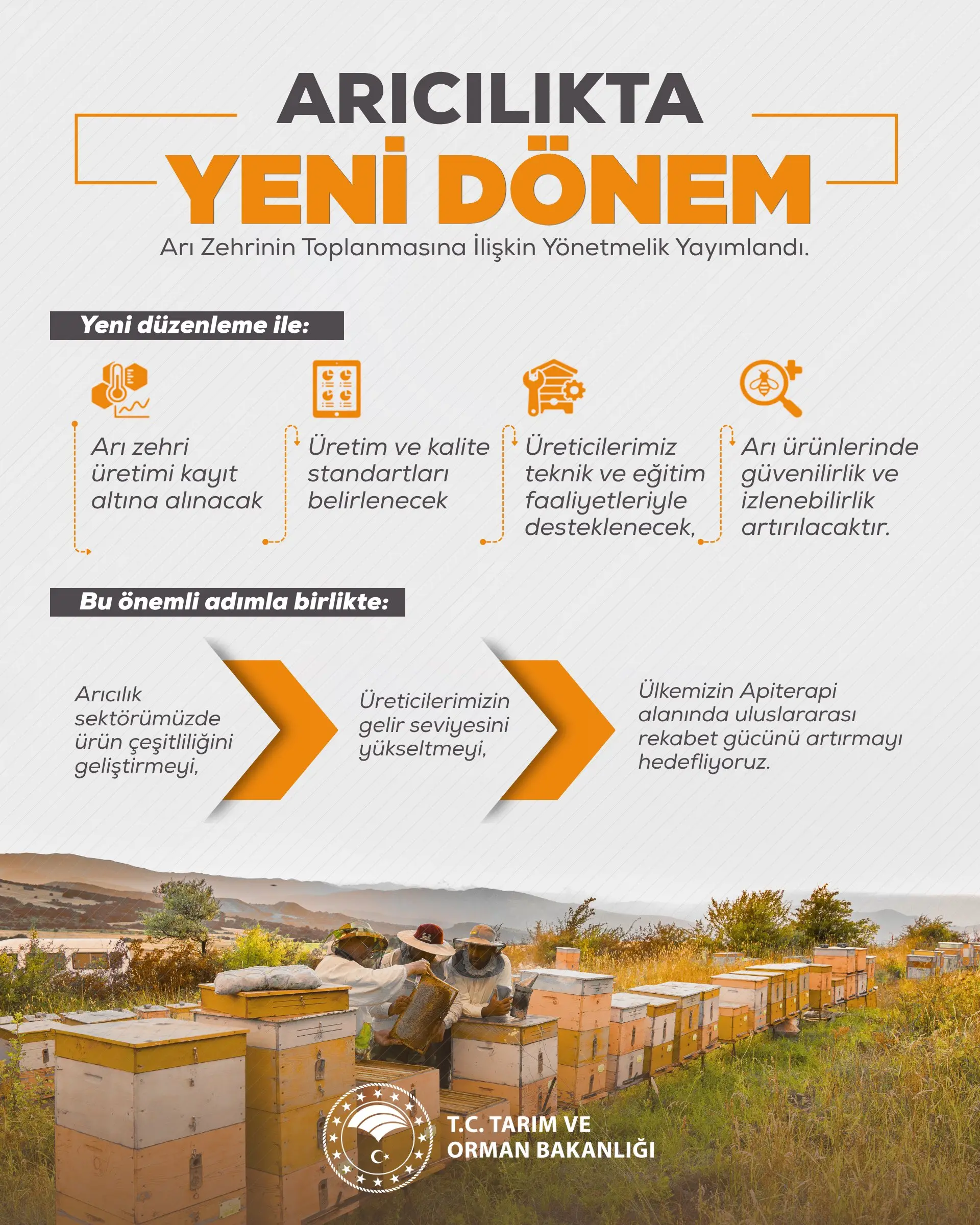 Arı Zehri Yönetmeliği Resmi Gazete'de Yayımlandı