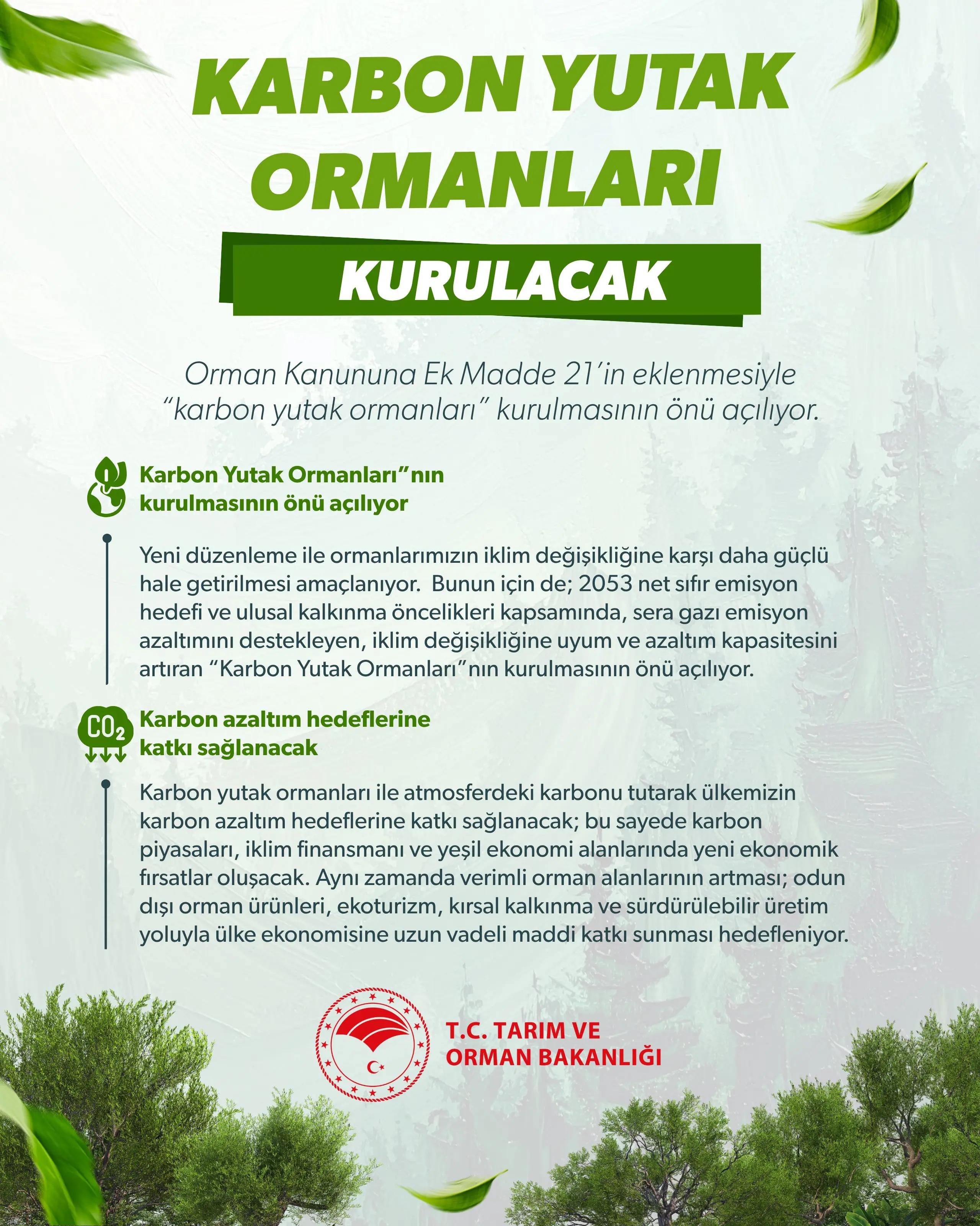 Karbon yutak ormanları kurulacak yeni maddeyle hayata geçiriliyor