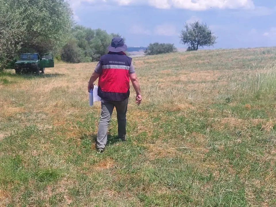 Kütahya'da Tarımsal Saha Çalışmaları Yapıldı
