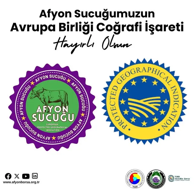 Afyonkarahisar'da toplu açılış töreni gerçekleşti