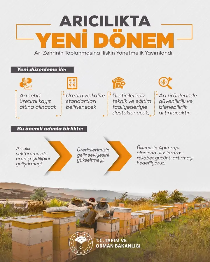 Arı Zehrinin Toplanmasına İlişkin Yönetmelik Yayımlandı