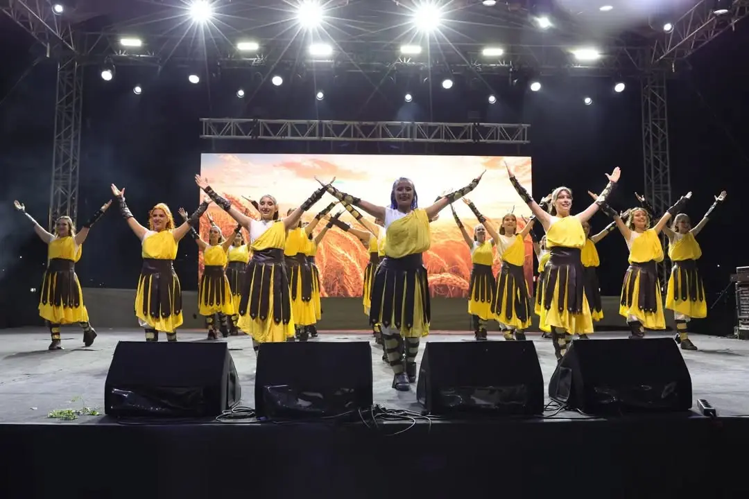 Kütahya'da Minik Metehan İçin Destek Konseri Düzenlendi