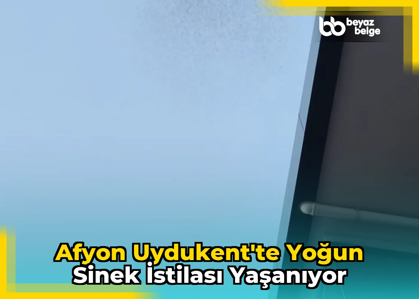 Afyon Uydukent'te Yoğun Sinek İstilası Yaşanıyor