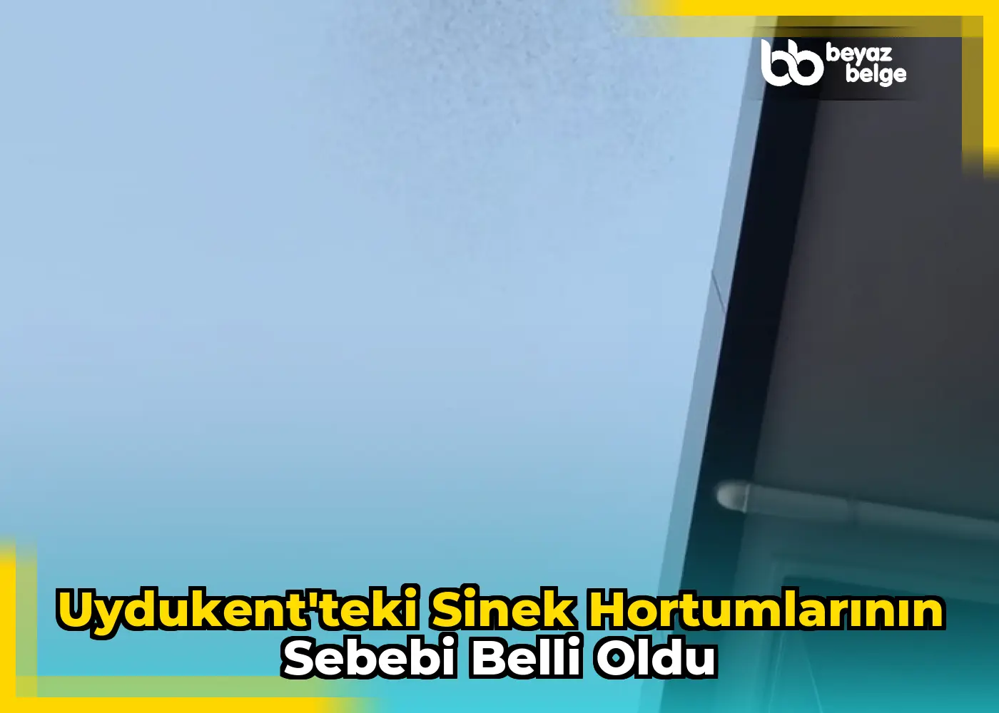 Uydukent'teki sinek hortumlarının sebebi belli oldu