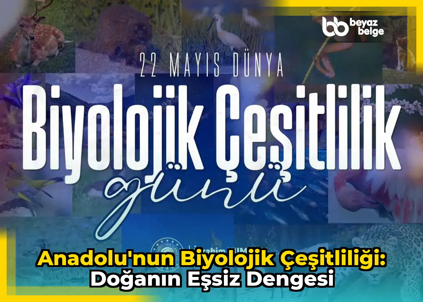 Anadolu'nun Biyolojik Çeşitliliği: Doğanın Eşsiz Dengesi