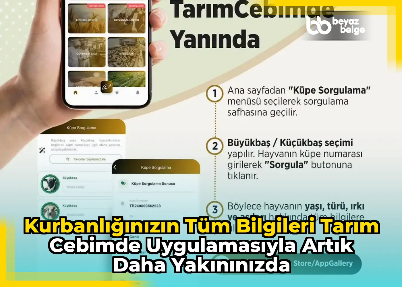 Kurbanlığınızın Tüm Bilgileri Tarım Cebimde Uygulamasıyla Artık Daha Yakınınızda