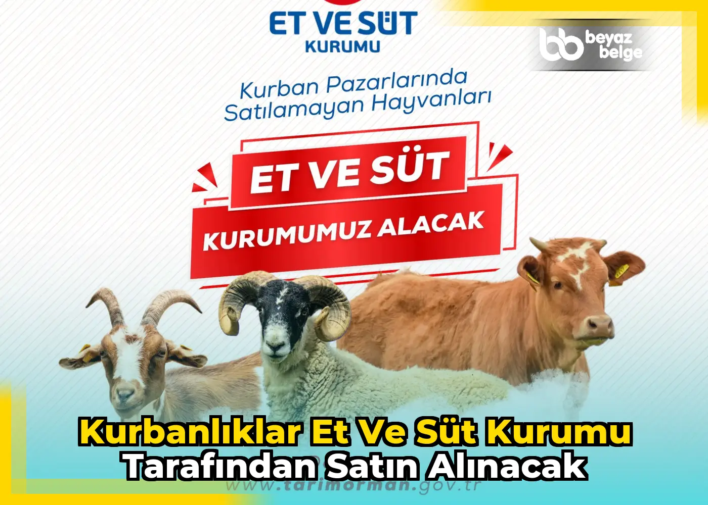 Kurbanlıklar Et ve Süt Kurumu tarafından satın alınacak