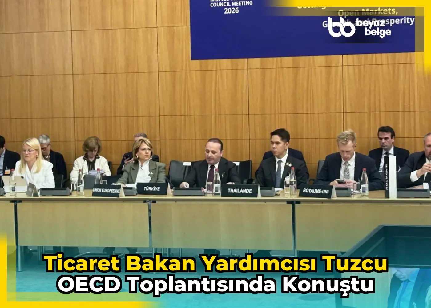 Ticaret Bakan Yardımcısı Tuzcu OECD toplantısında konuştu