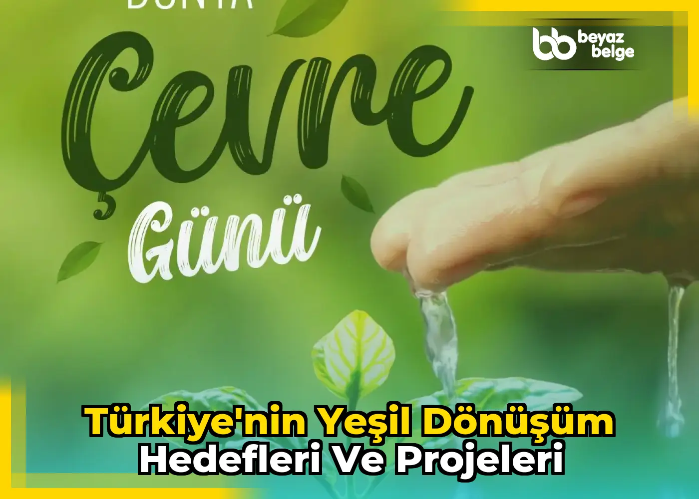 Türkiye'nin Yeşil Dönüşüm Hedefleri ve Projeleri