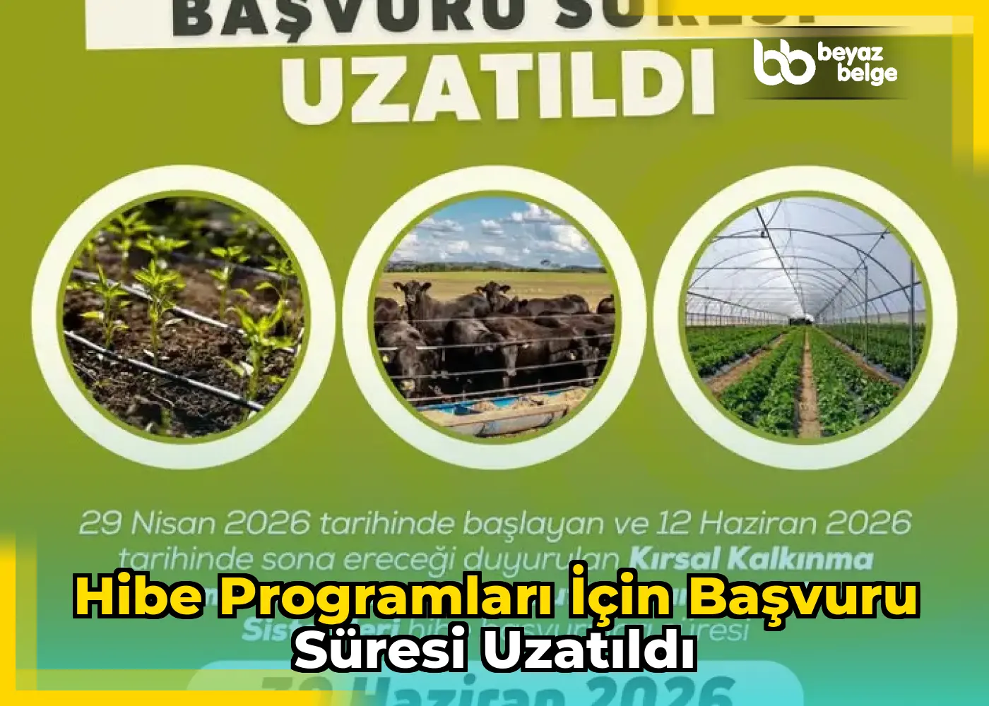 Hibe programları için başvuru süresi uzatıldı