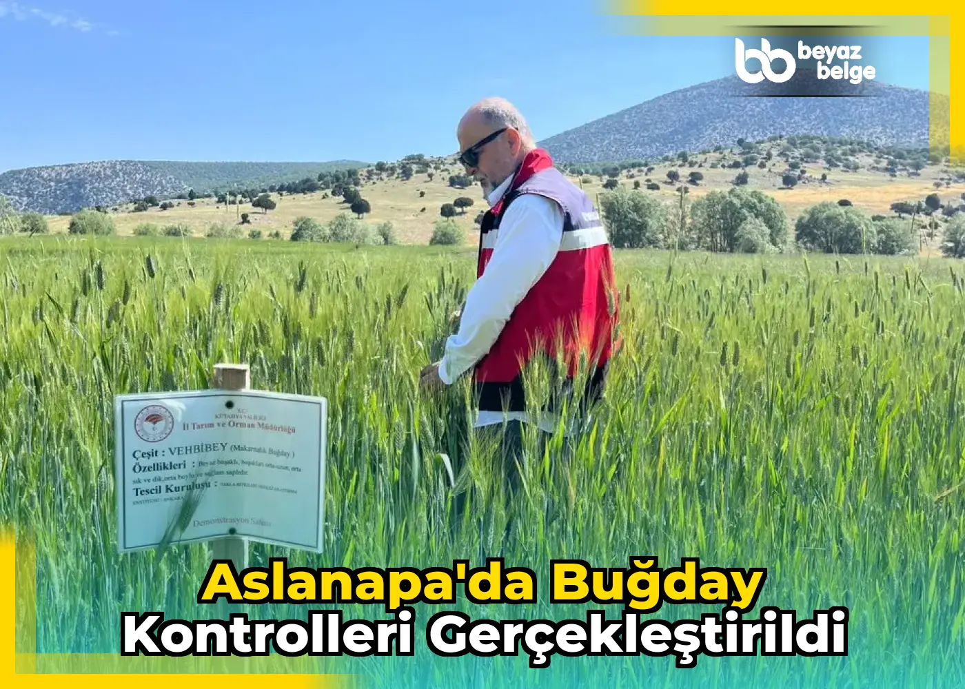 Aslanapa'da Buğday Kontrolleri Gerçekleştirildi