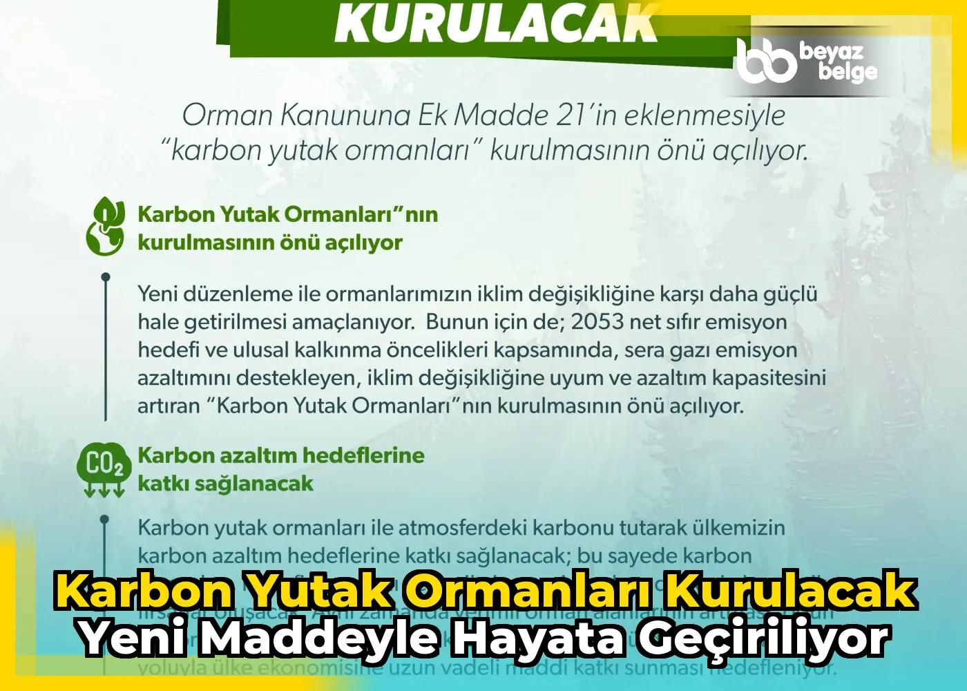 Karbon yutak ormanları kurulacak yeni maddeyle hayata geçiriliyor