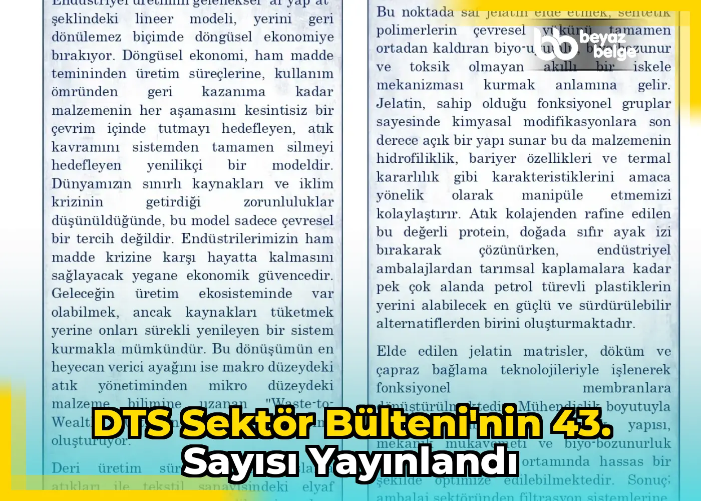 DTS Sektör Bülteni'nin 43. Sayısı Yayınlandı