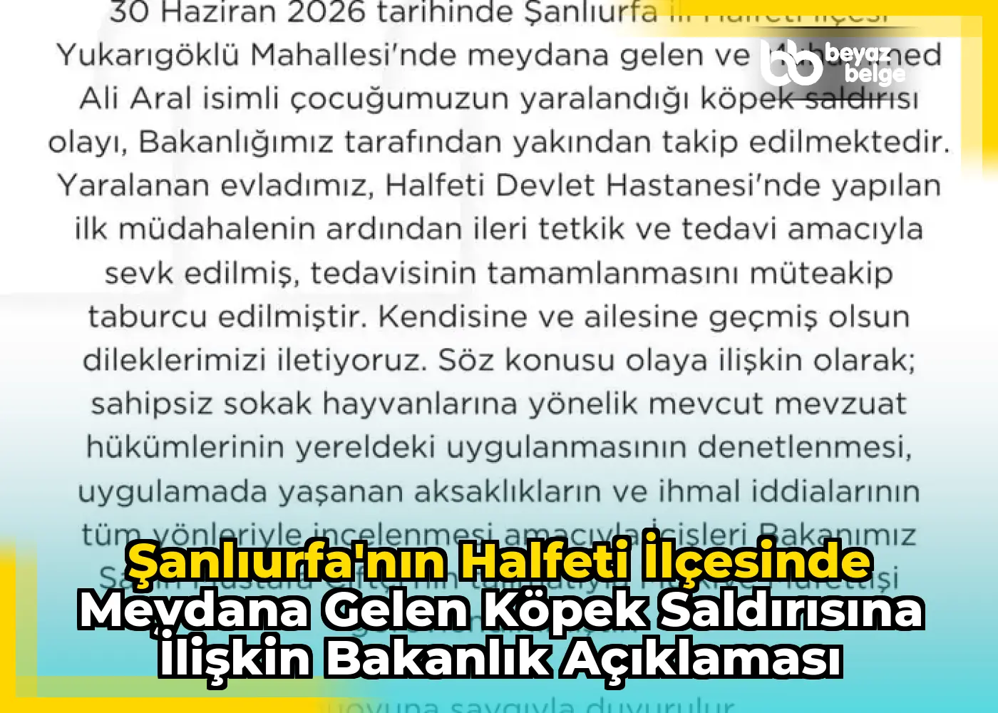 Şanlıurfa'nın Halfeti İlçesinde Meydana Gelen Köpek Saldırısına İlişkin Bakanlık Açıklaması