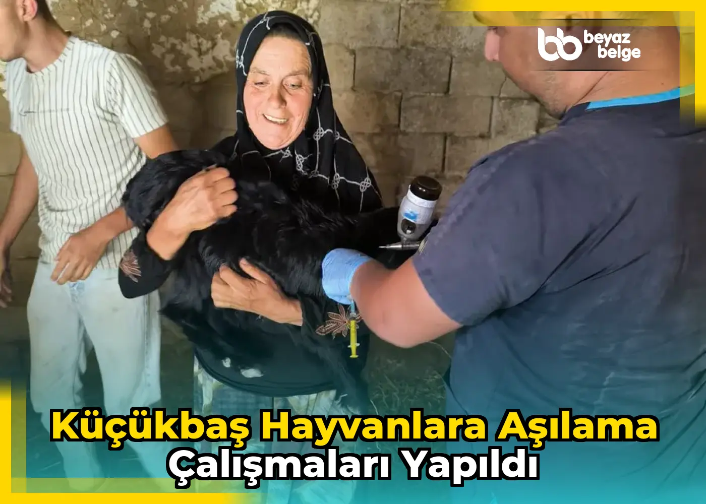 Küçükbaş Hayvanlara Aşılama Çalışmaları Yapıldı