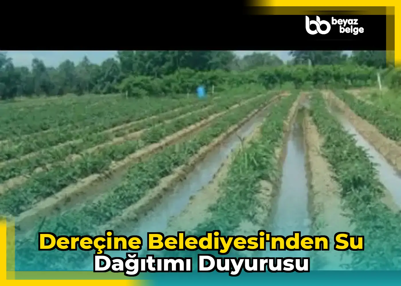 Dereçine Belediyesi'nden su dağıtımı duyurusu