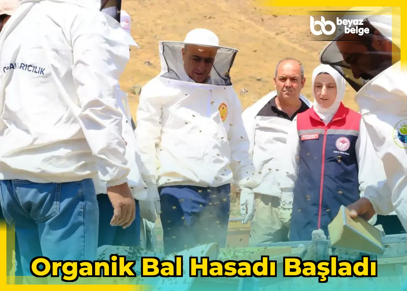 Organik Bal Hasadı Başladı