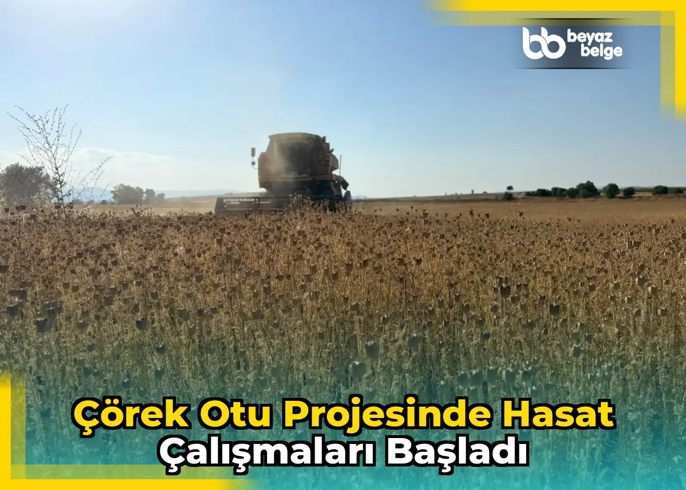 Çörek Otu Projesinde Hasat Çalışmaları Başladı