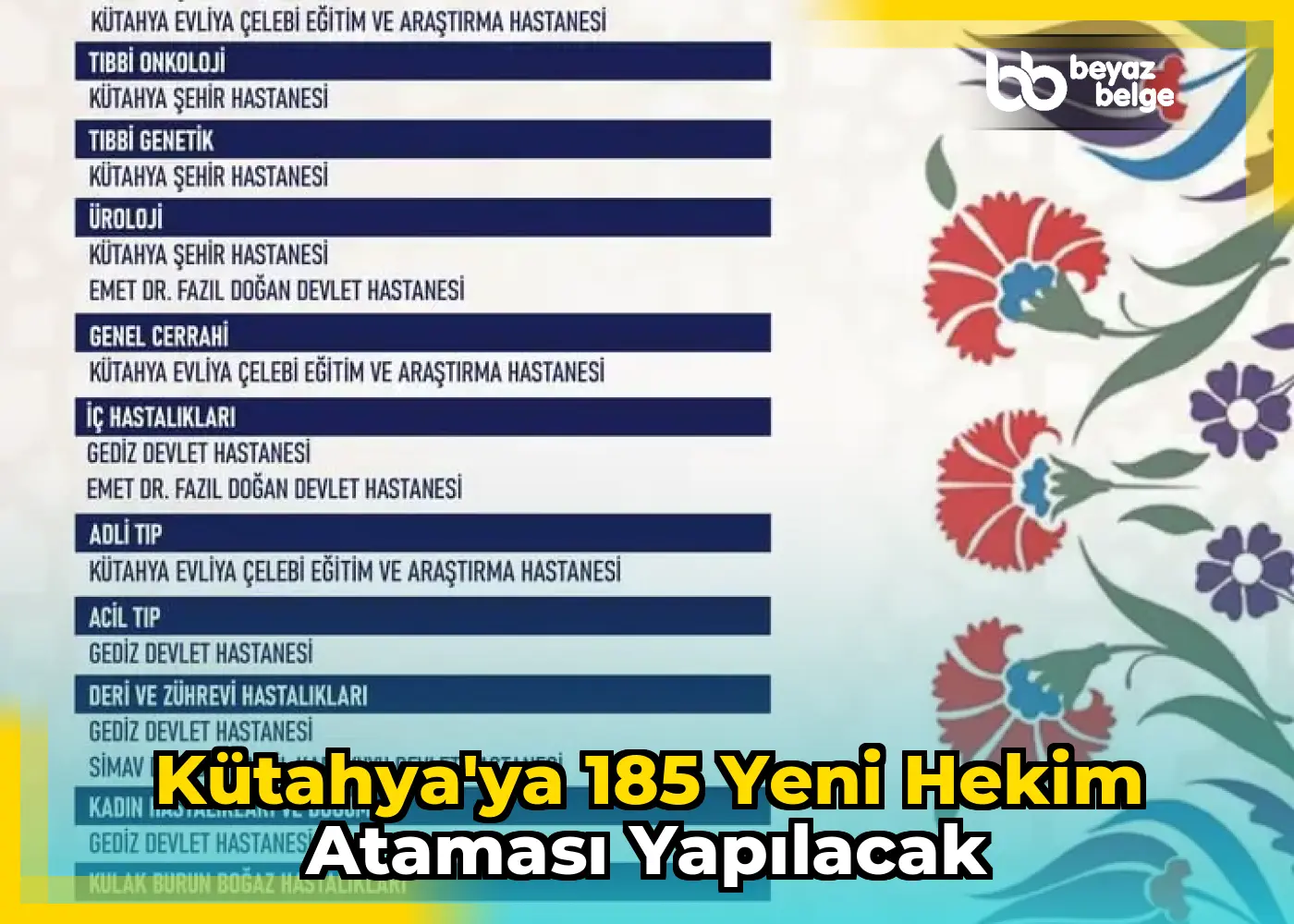 Kütahya'ya 185 yeni hekim ataması yapılacak