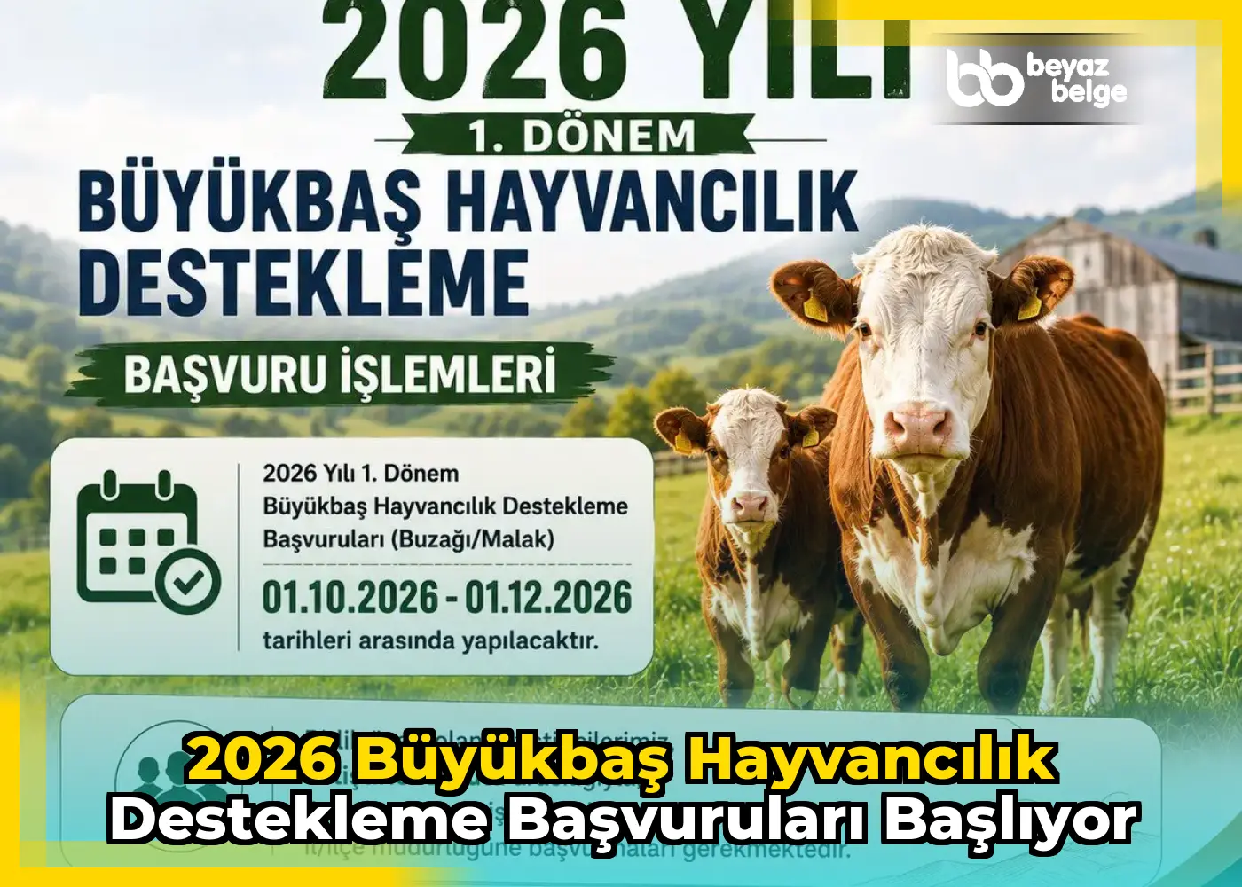 2026 Büyükbaş Hayvancılık Destekleme Başvuruları Başlıyor