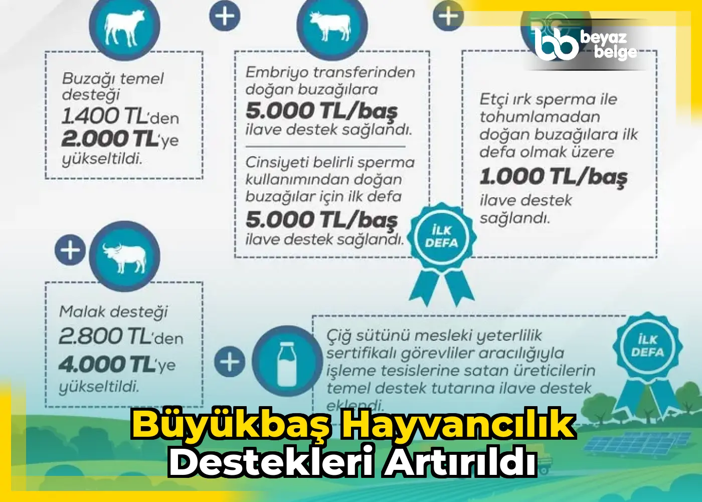 Büyükbaş hayvancılık destekleri artırıldı