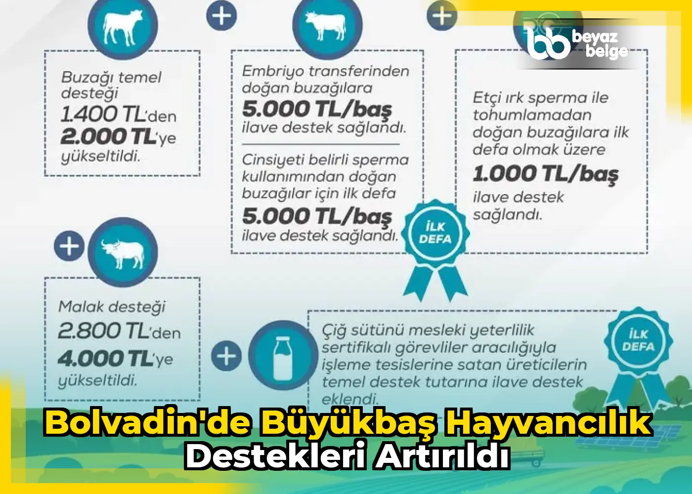 Bolvadin'de Büyükbaş Hayvancılık Destekleri Artırıldı