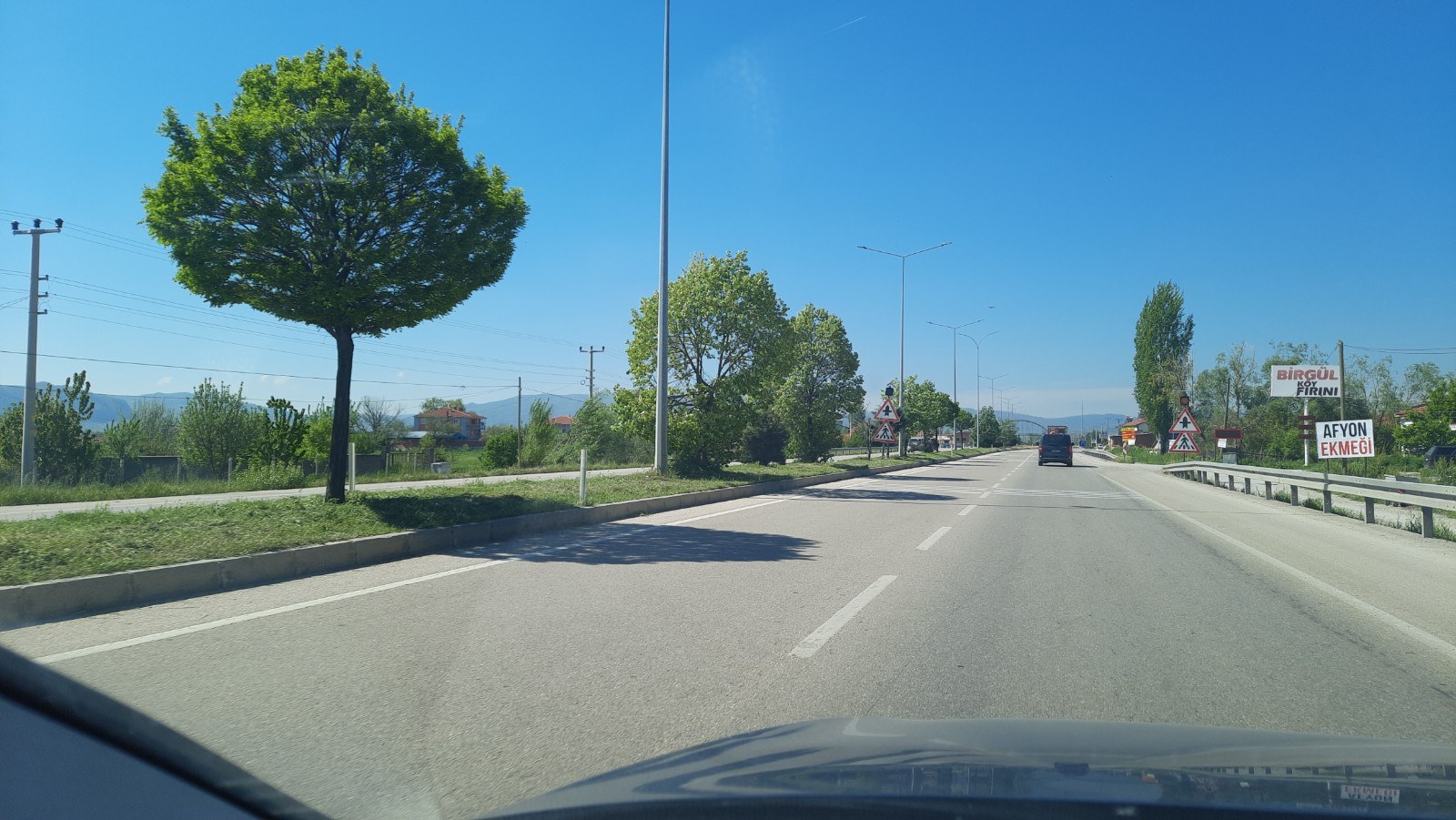 Yol Kenarı Ağaçlandırmasının Trafiğe Etkileri İnceleniyor