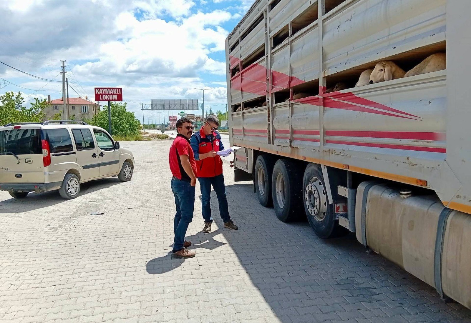 Kurban Bayramı Öncesi Hayvan Sevk Denetimleri Devam Ediyor